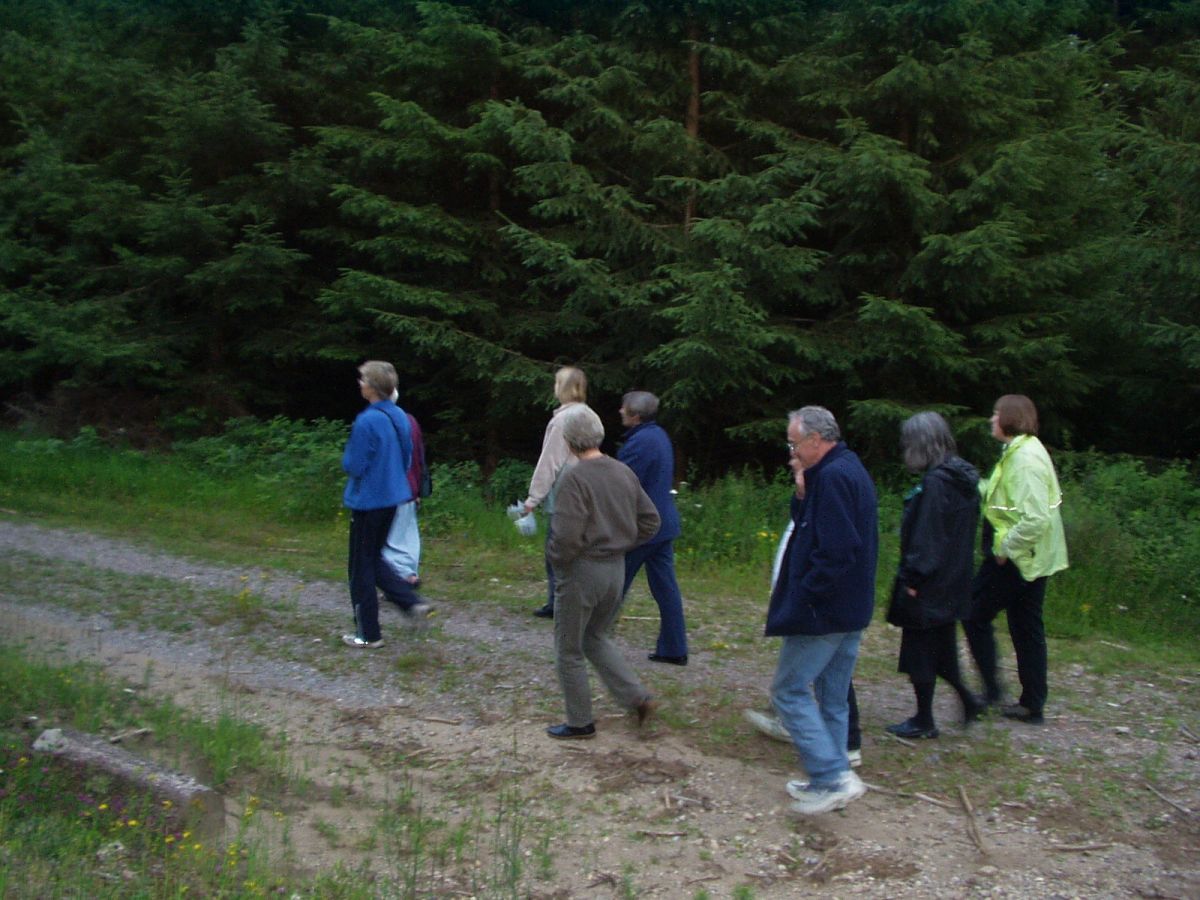 Walking in the Black Forest