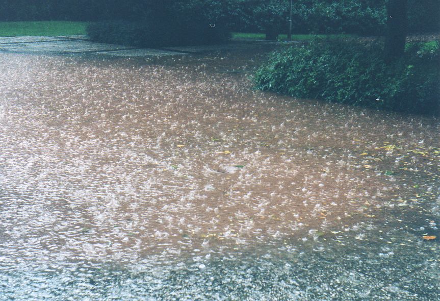 Flood Water